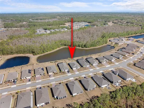 a view of city with ocean