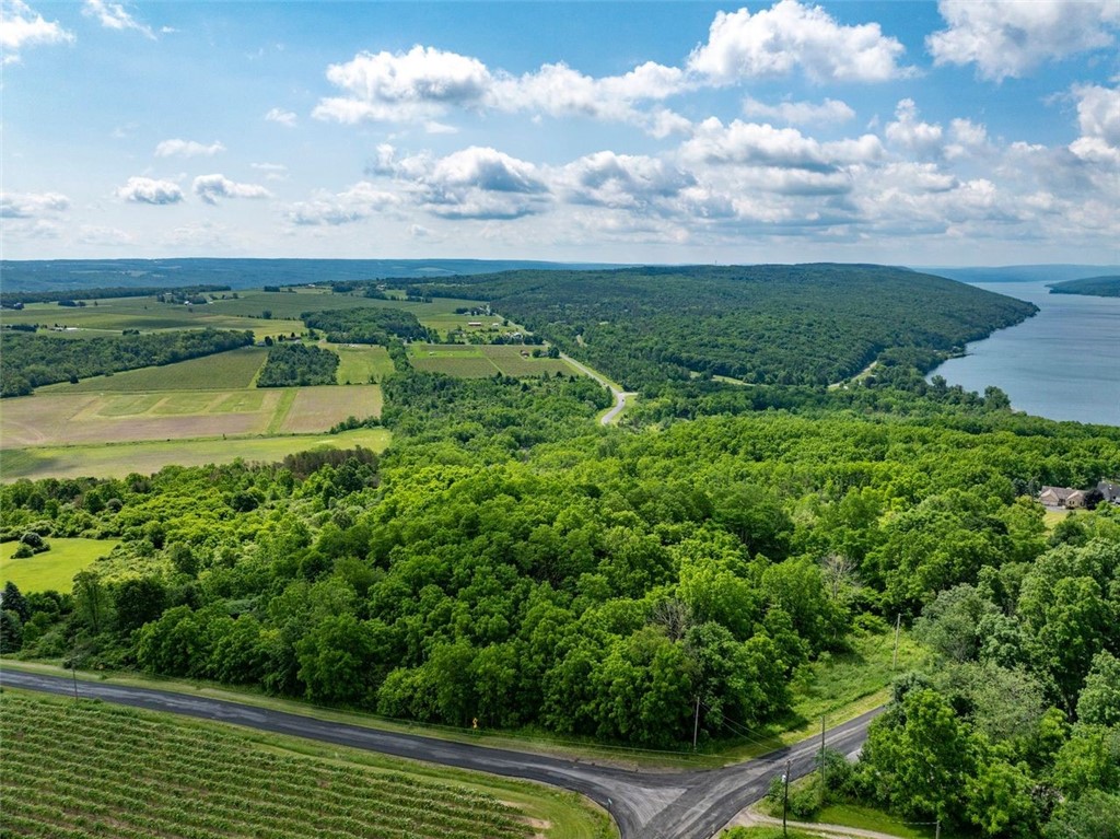0 Esperanza Road Keuka Park, NY 14478 - Photo 11 of 17