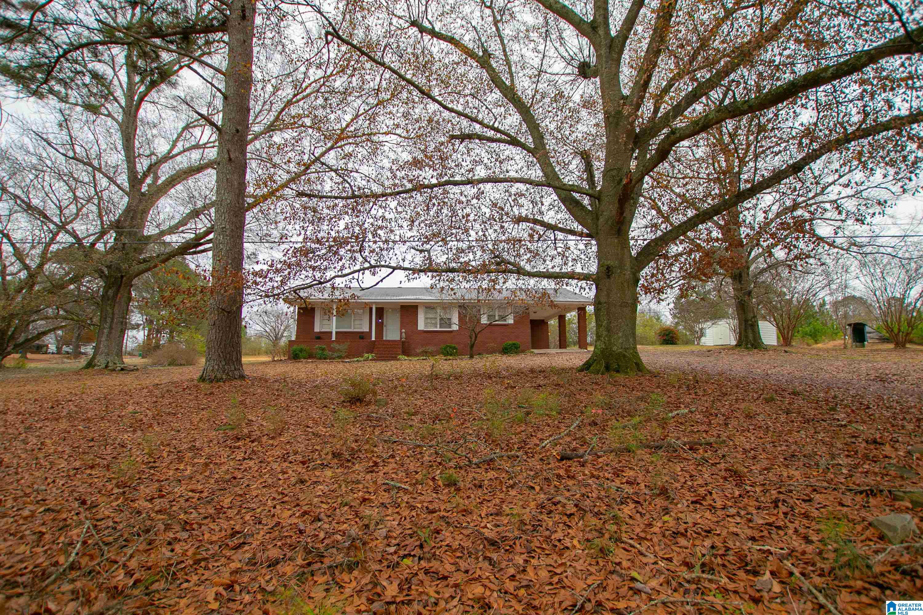 5252 Spunky Hollow Road Remlap, AL 35133 - Photo 51 of 58