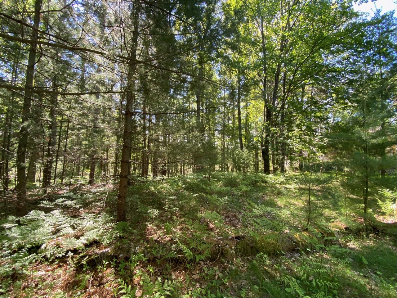 Lot 239 Ridgewood Drive Minocqua, WI 54548 - Photo 15 of 15 Gallery Image 15
