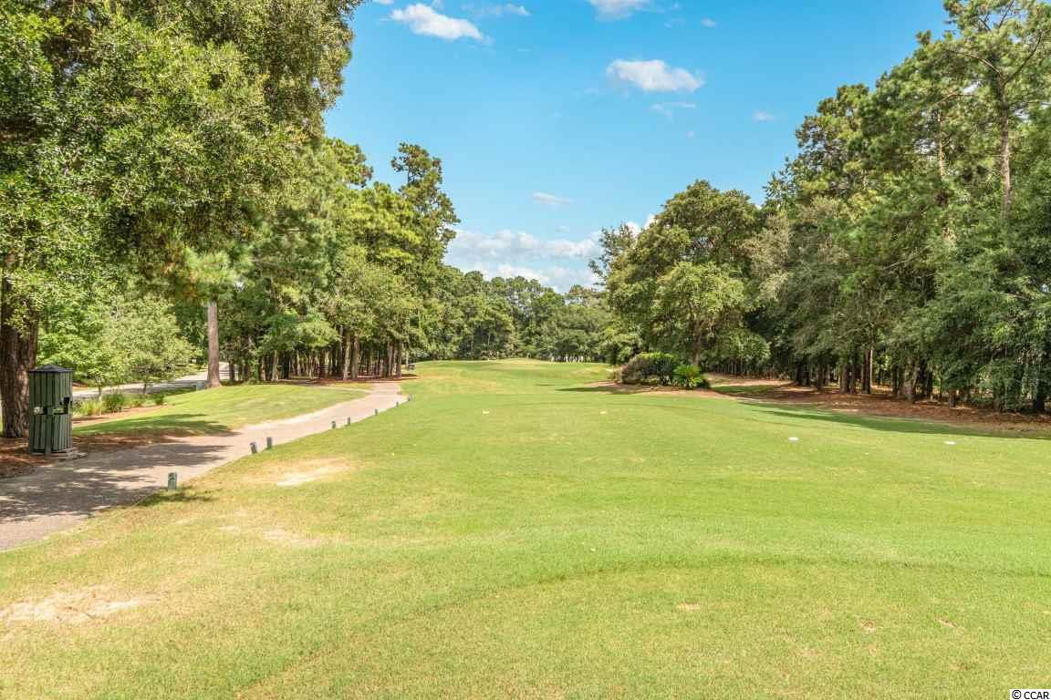 4676 Fringetree Drive, Unit A Murrells Inlet, SC 29576 - Photo 25 of 40 Gallery Image 25
