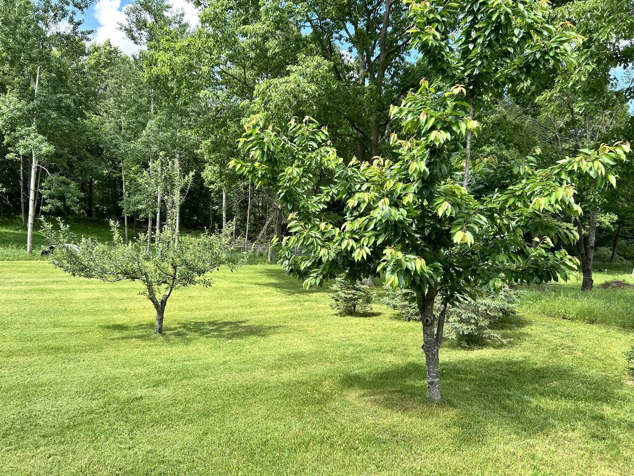 1879 North Crystal Road Vestaburg, MI 48891 - Photo 30 of 43