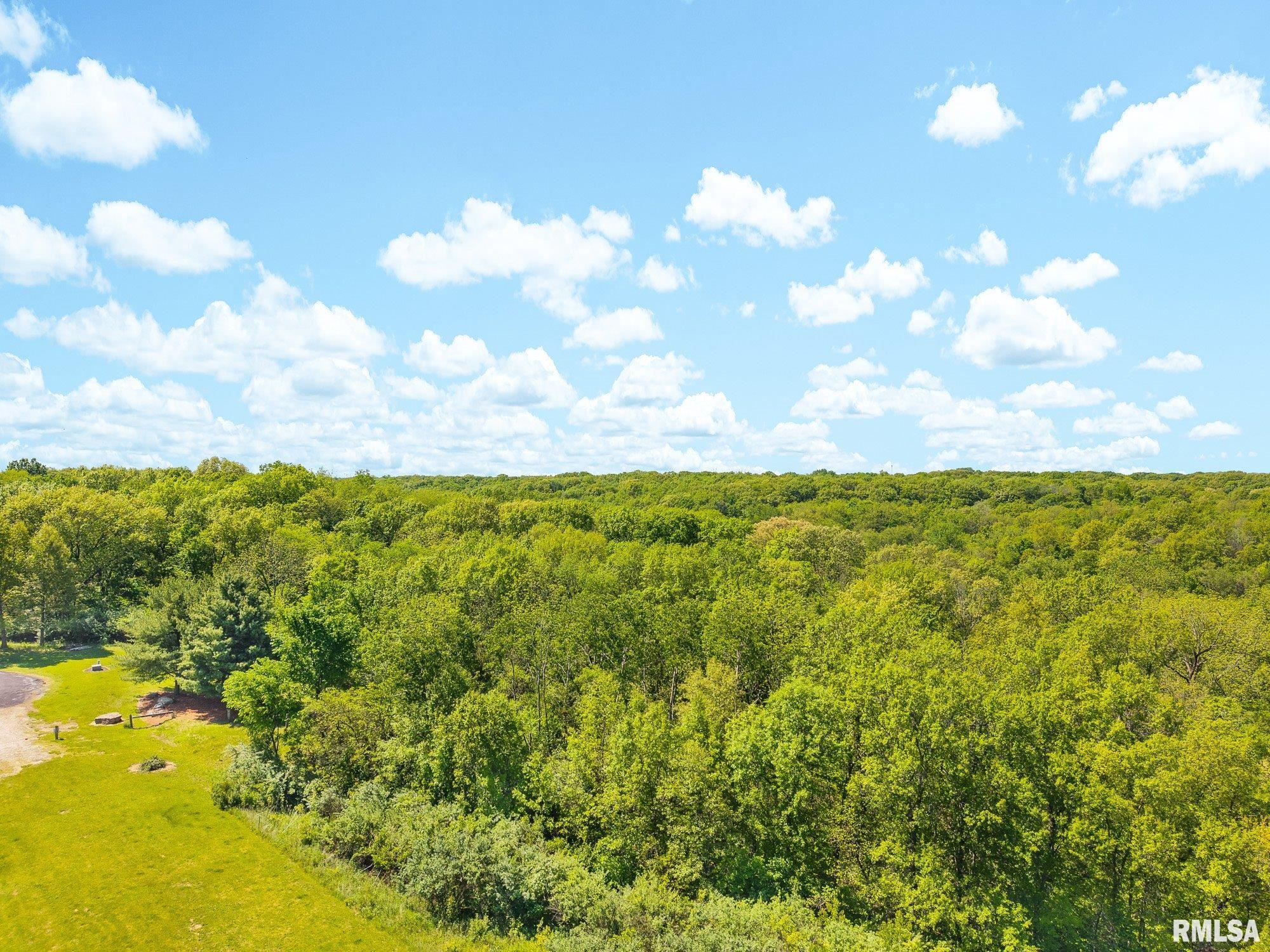 South Walnut Point Drive Mapleton, IL 61547 - Photo 45 of 48