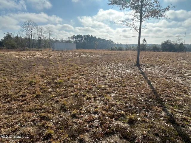 $62,000 | 0 Will Lee Road, Lumberton, MS 39455