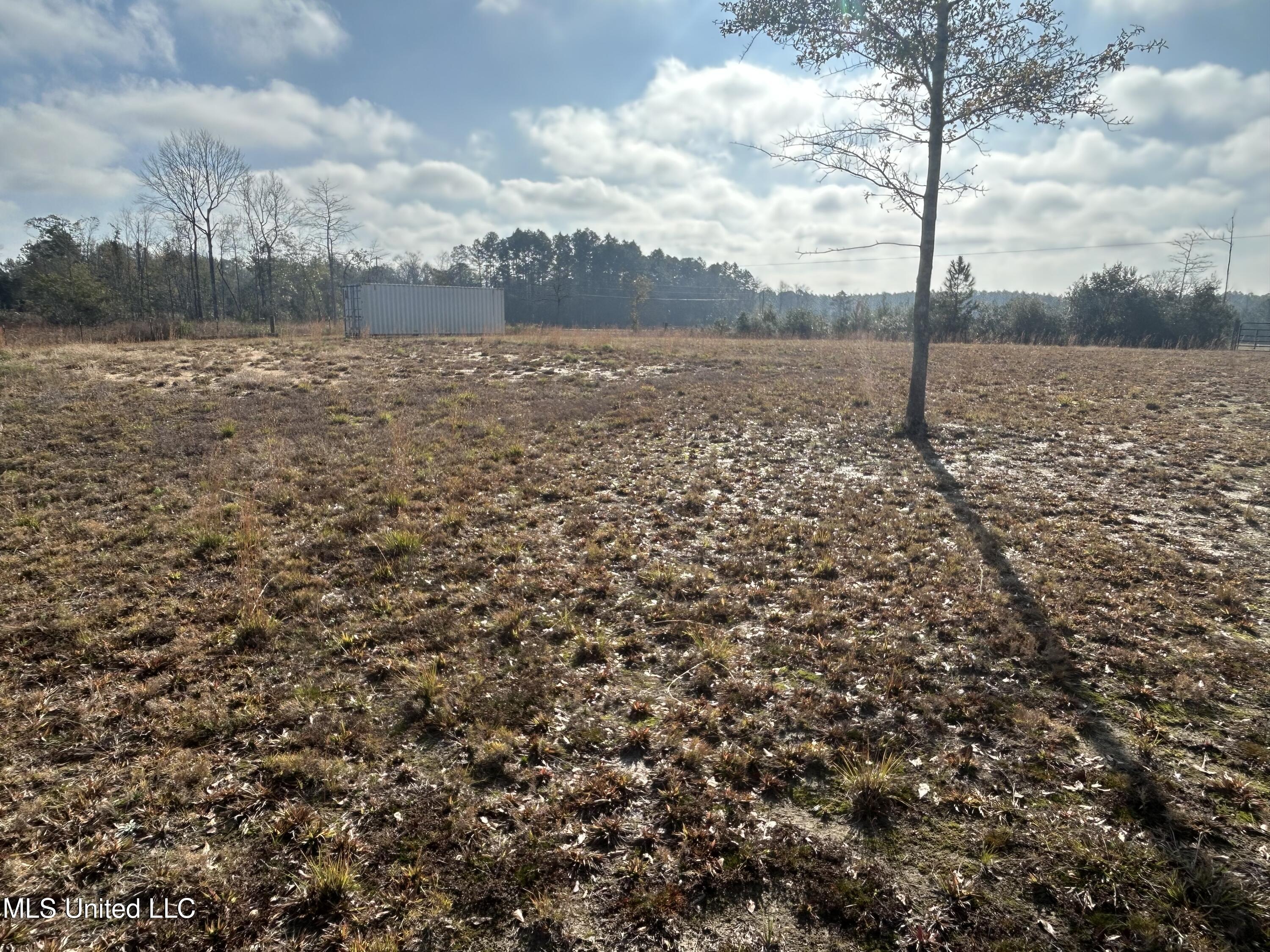 0 Will Lee Road Lumberton, MS 39455 - Photo 11 of 23 IMG_0869