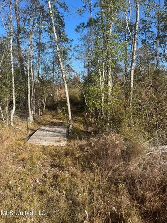 $62,000 | 0 Will Lee Road, Lumberton, MS 39455