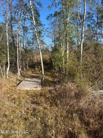 $62,000 | 0 Will Lee Road, Lumberton, MS 39455