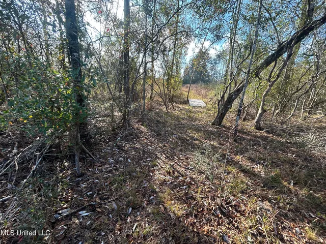 $62,000 | 0 Will Lee Road, Lumberton, MS 39455