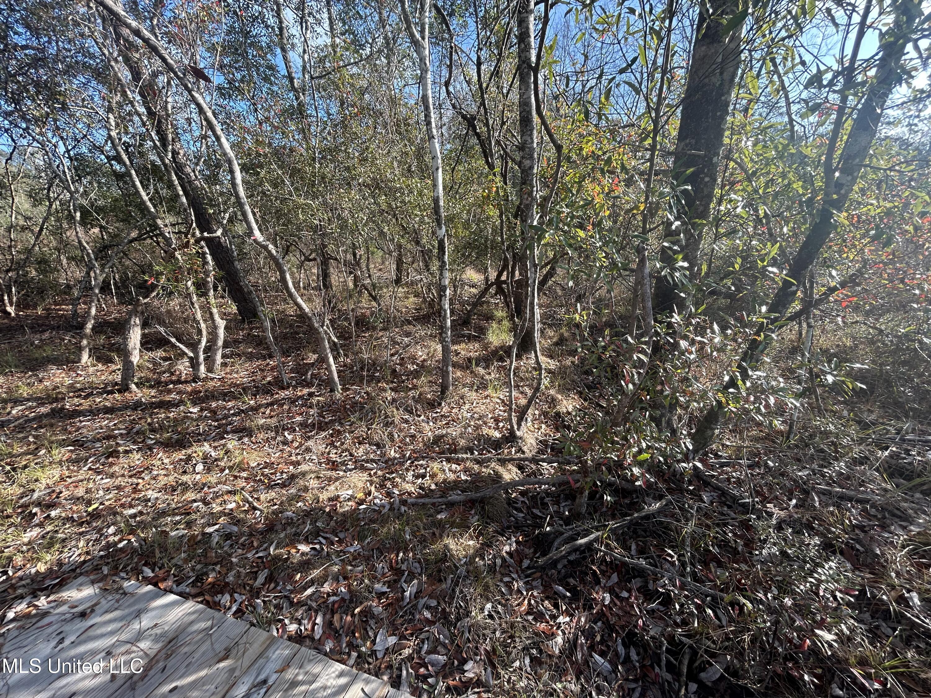 0 Will Lee Road Lumberton, MS 39455 - Photo 15 of 23 IMG_0857