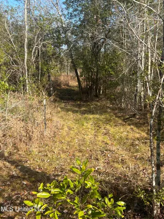 $62,000 | 0 Will Lee Road, Lumberton, MS 39455