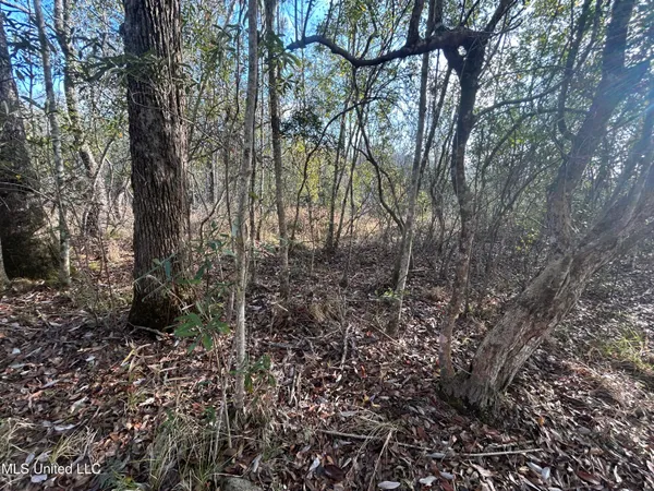 $62,000 | 0 Will Lee Road, Lumberton, MS 39455