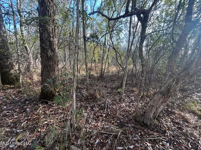 $62,000 | 0 Will Lee Road, Lumberton, MS 39455