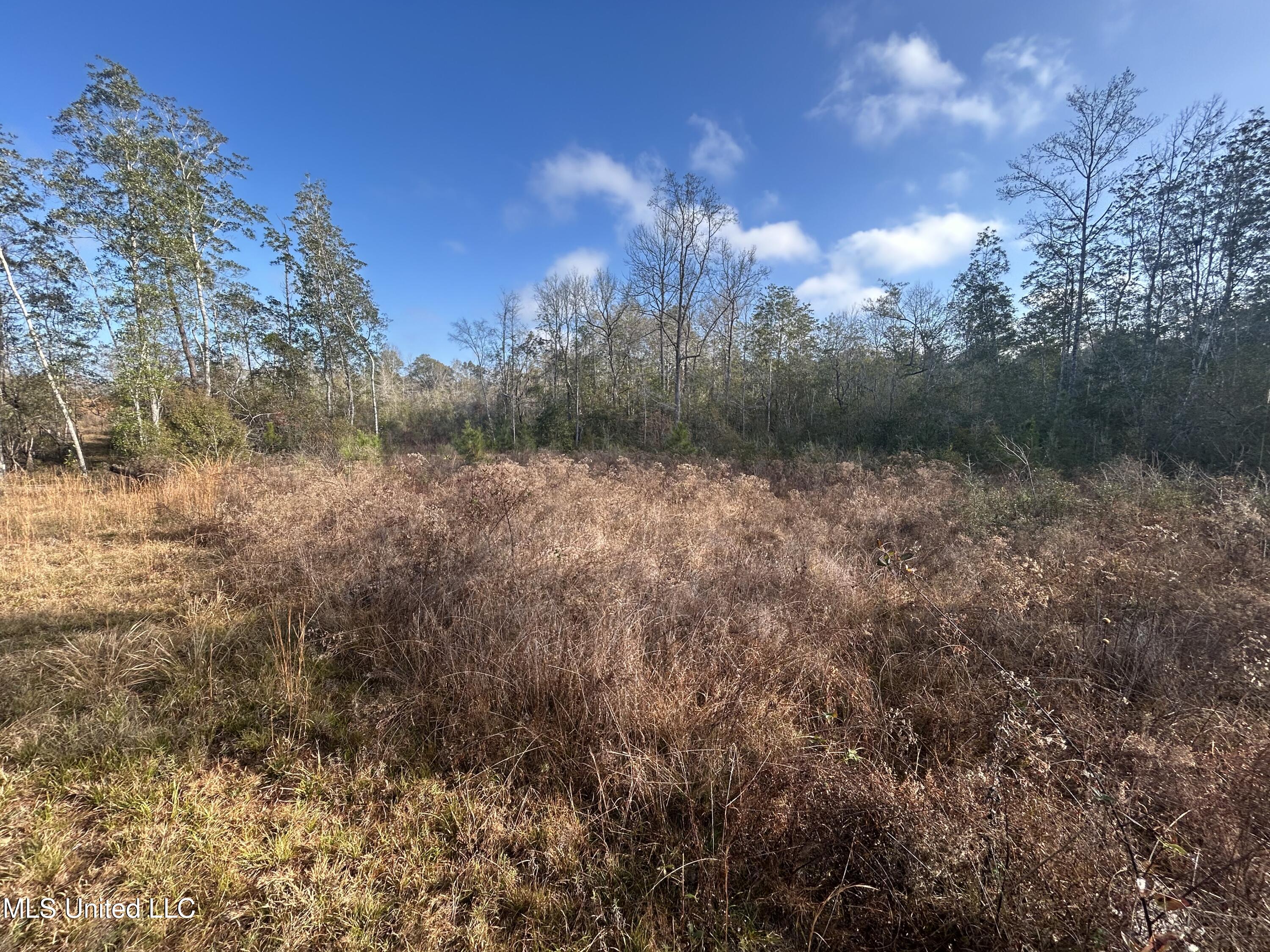 0 Will Lee Road Lumberton, MS 39455 - Photo 19 of 23 IMG_0855