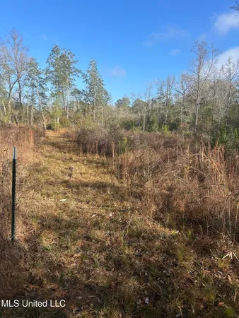 $62,000 | 0 Will Lee Road, Lumberton, MS 39455