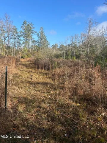 $62,000 | 0 Will Lee Road, Lumberton, MS 39455