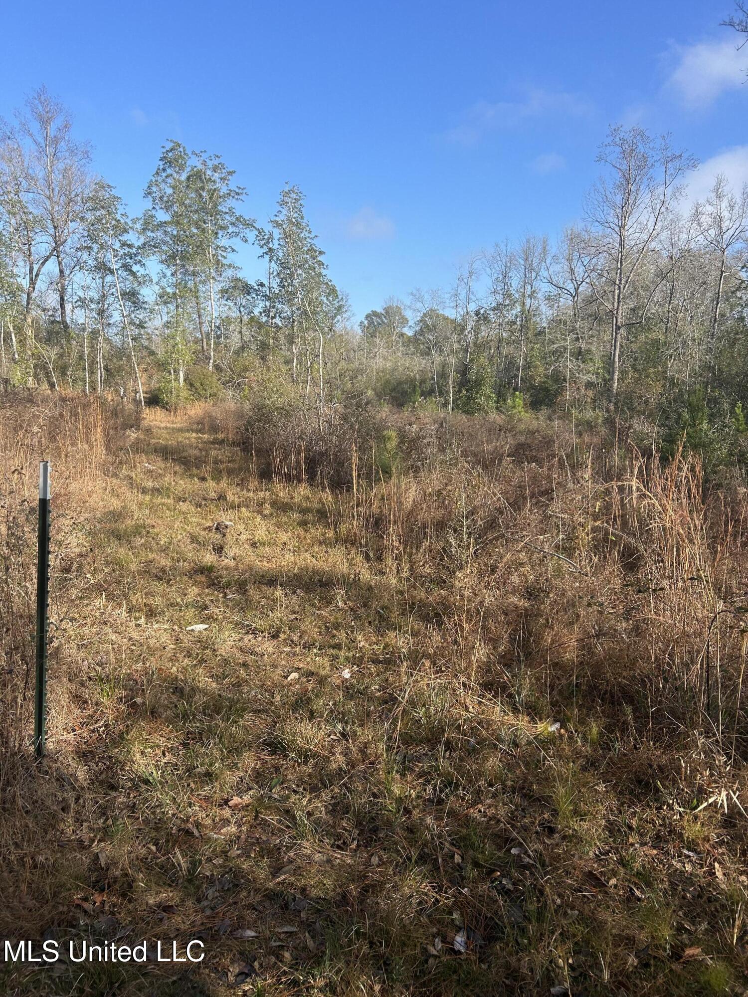 0 Will Lee Road Lumberton, MS 39455 - Photo 20 of 23 IMG_0854
