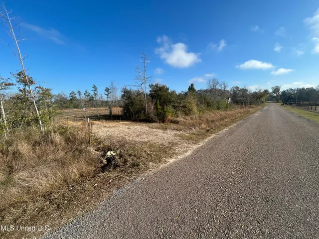 $62,000 | 0 Will Lee Road, Lumberton, MS 39455