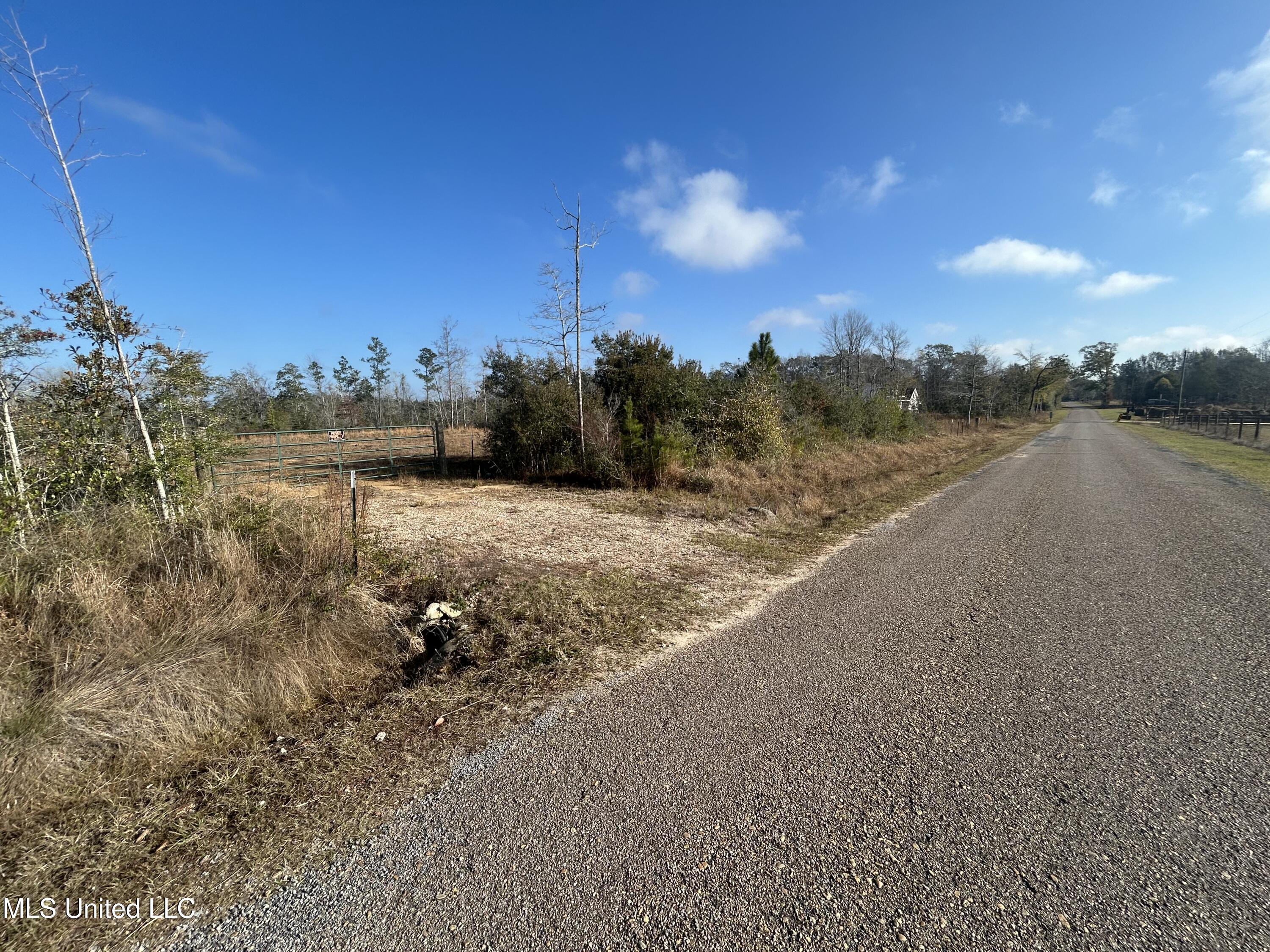 0 Will Lee Road Lumberton, MS 39455 - Photo 21 of 23 IMG_0838