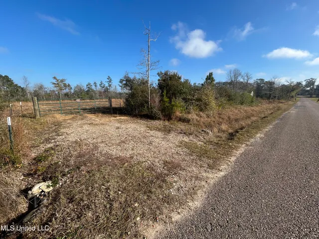 $62,000 | 0 Will Lee Road, Lumberton, MS 39455