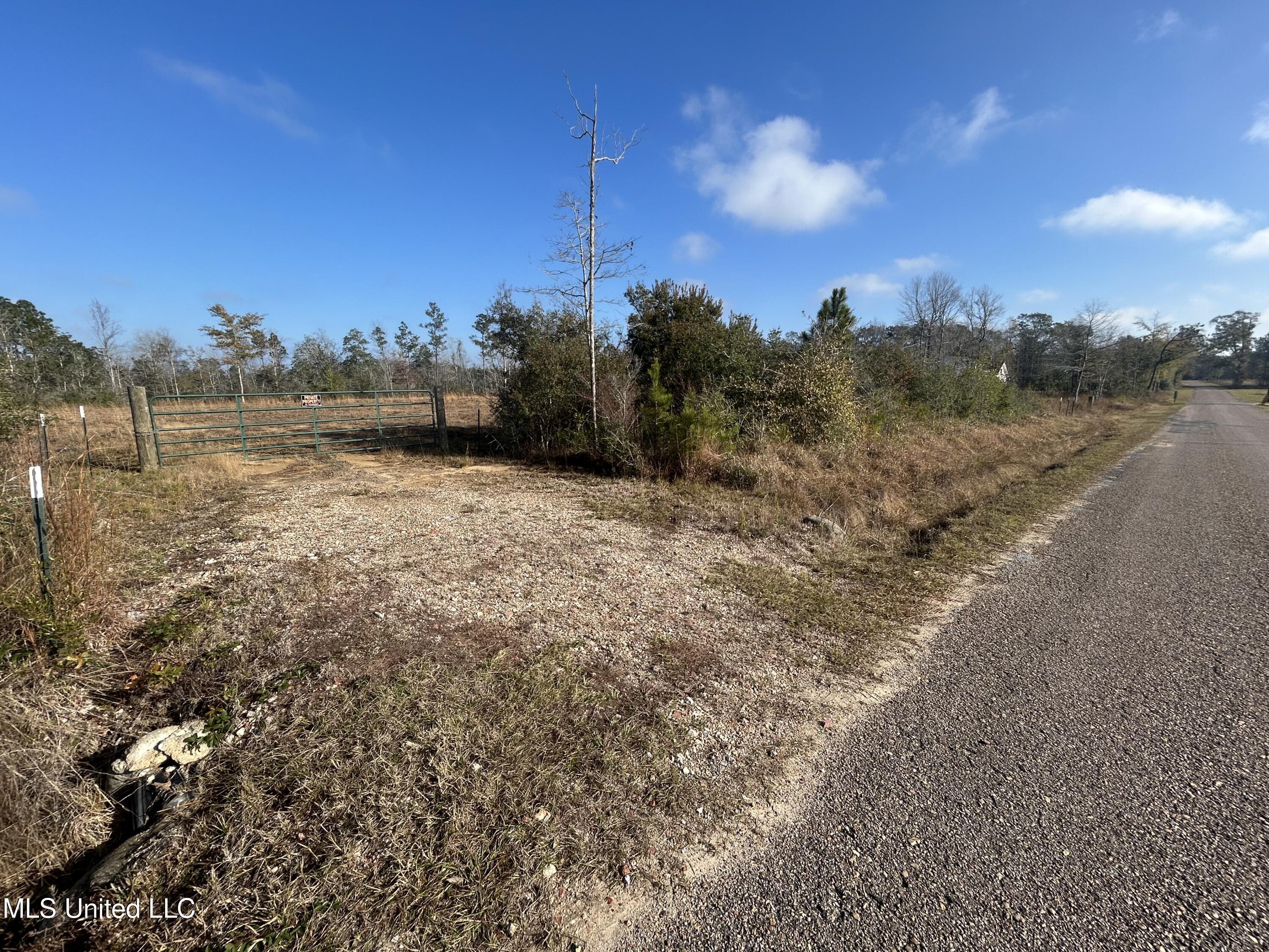 0 Will Lee Road Lumberton, MS 39455 - Photo 22 of 23 IMG_0839