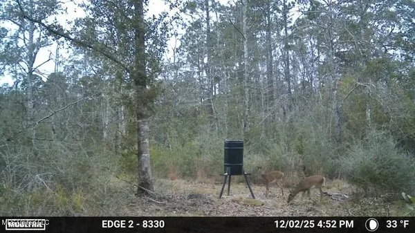 $62,000 | 0 Will Lee Road, Lumberton, MS 39455