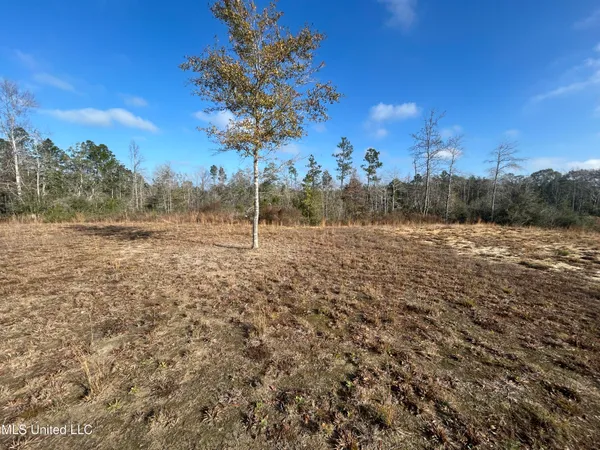 $62,000 | 0 Will Lee Road, Lumberton, MS 39455