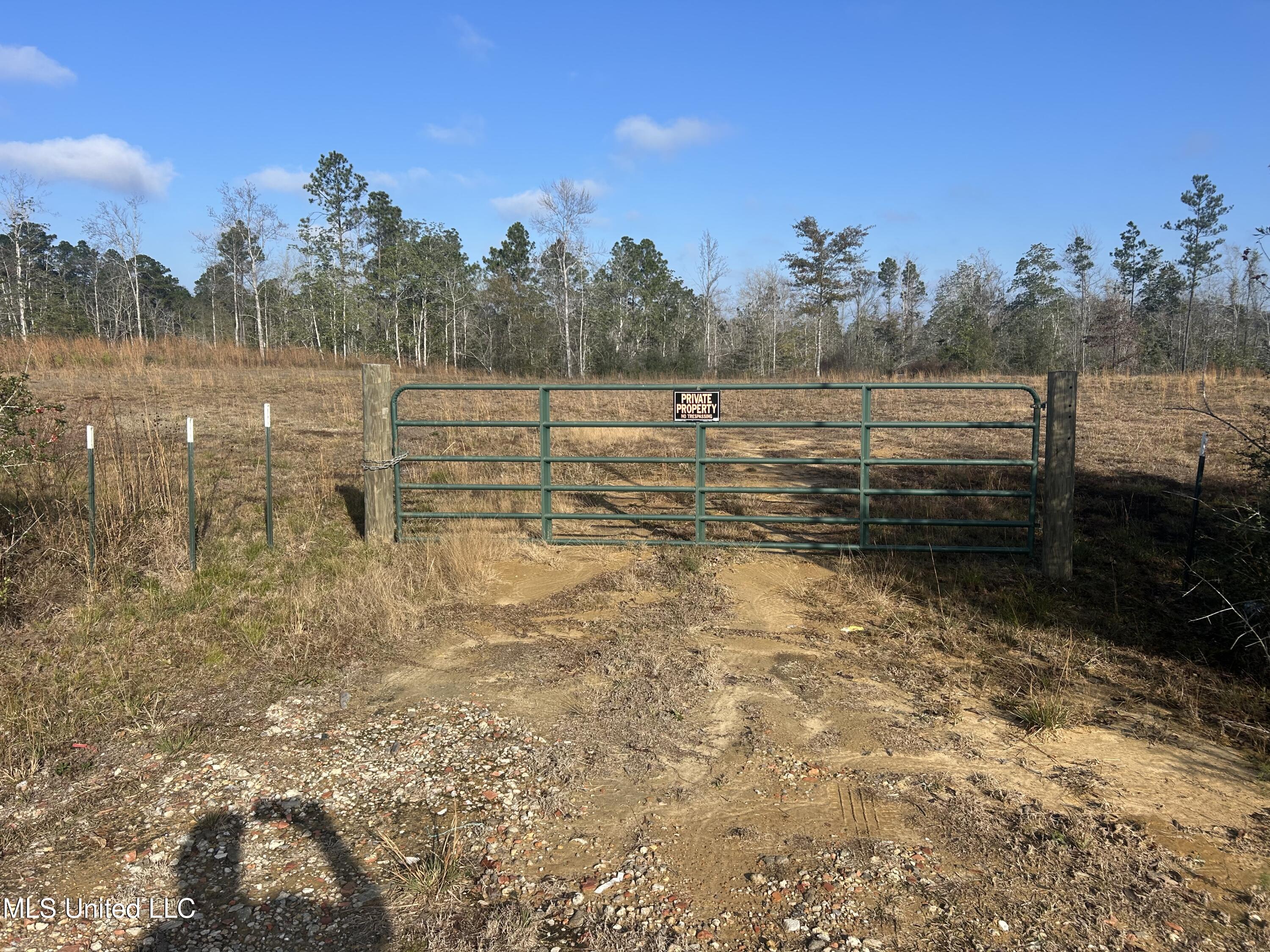 0 Will Lee Road Lumberton, MS 39455 - Photo 6 of 23 IMG_0837