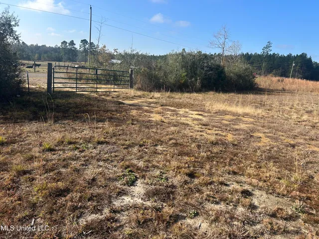 $62,000 | 0 Will Lee Road, Lumberton, MS 39455
