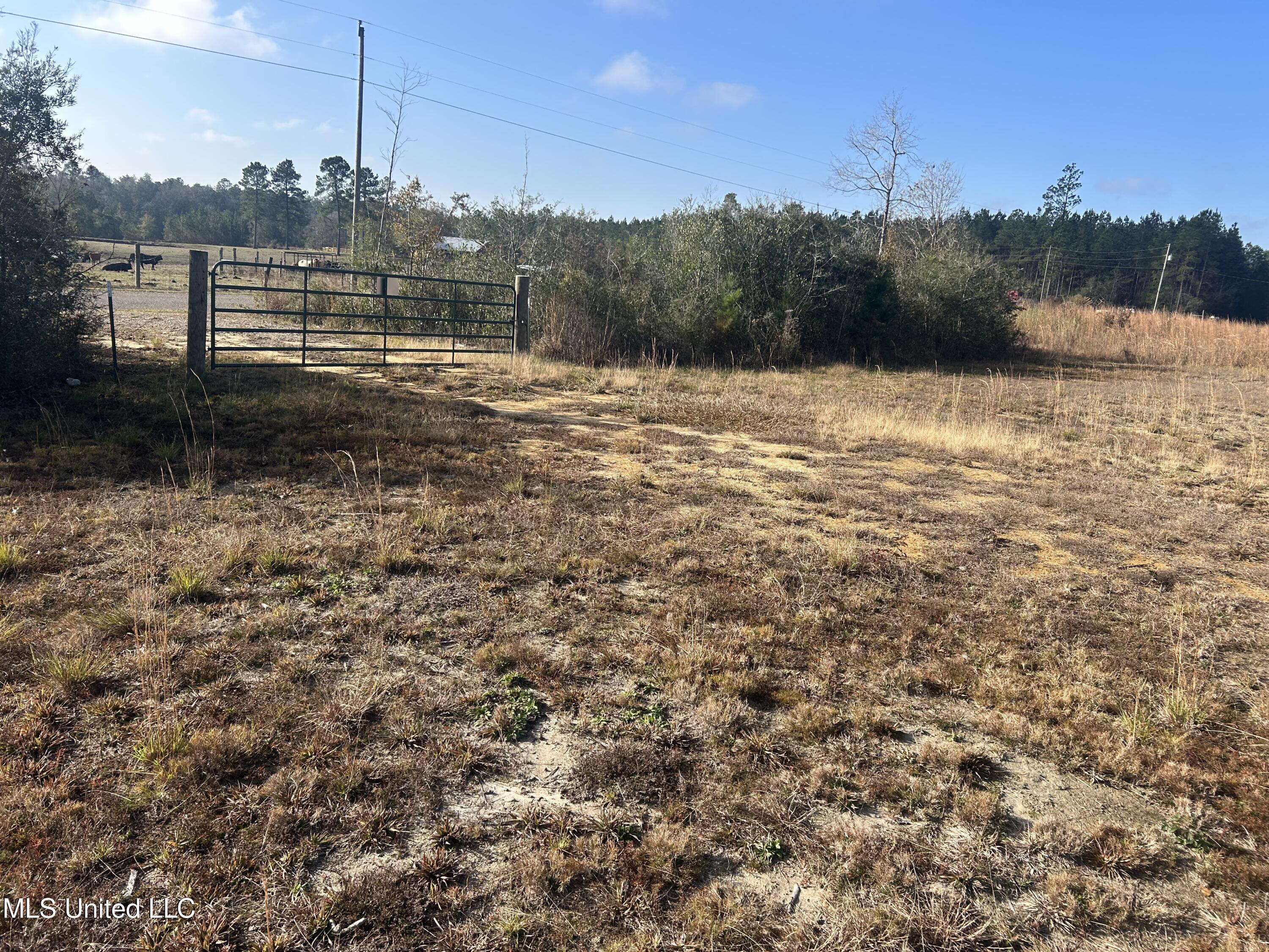 0 Will Lee Road Lumberton, MS 39455 - Photo 7 of 23 IMG_0836
