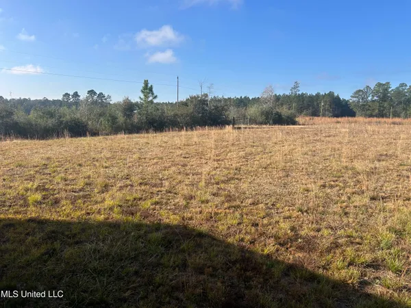 $62,000 | 0 Will Lee Road, Lumberton, MS 39455