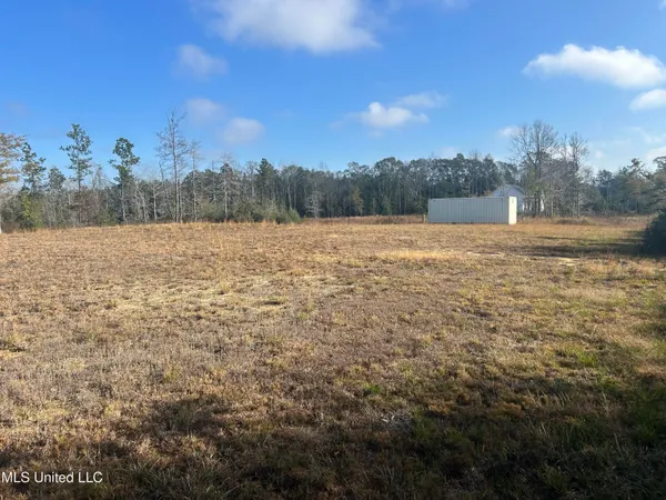 $62,000 | 0 Will Lee Road, Lumberton, MS 39455