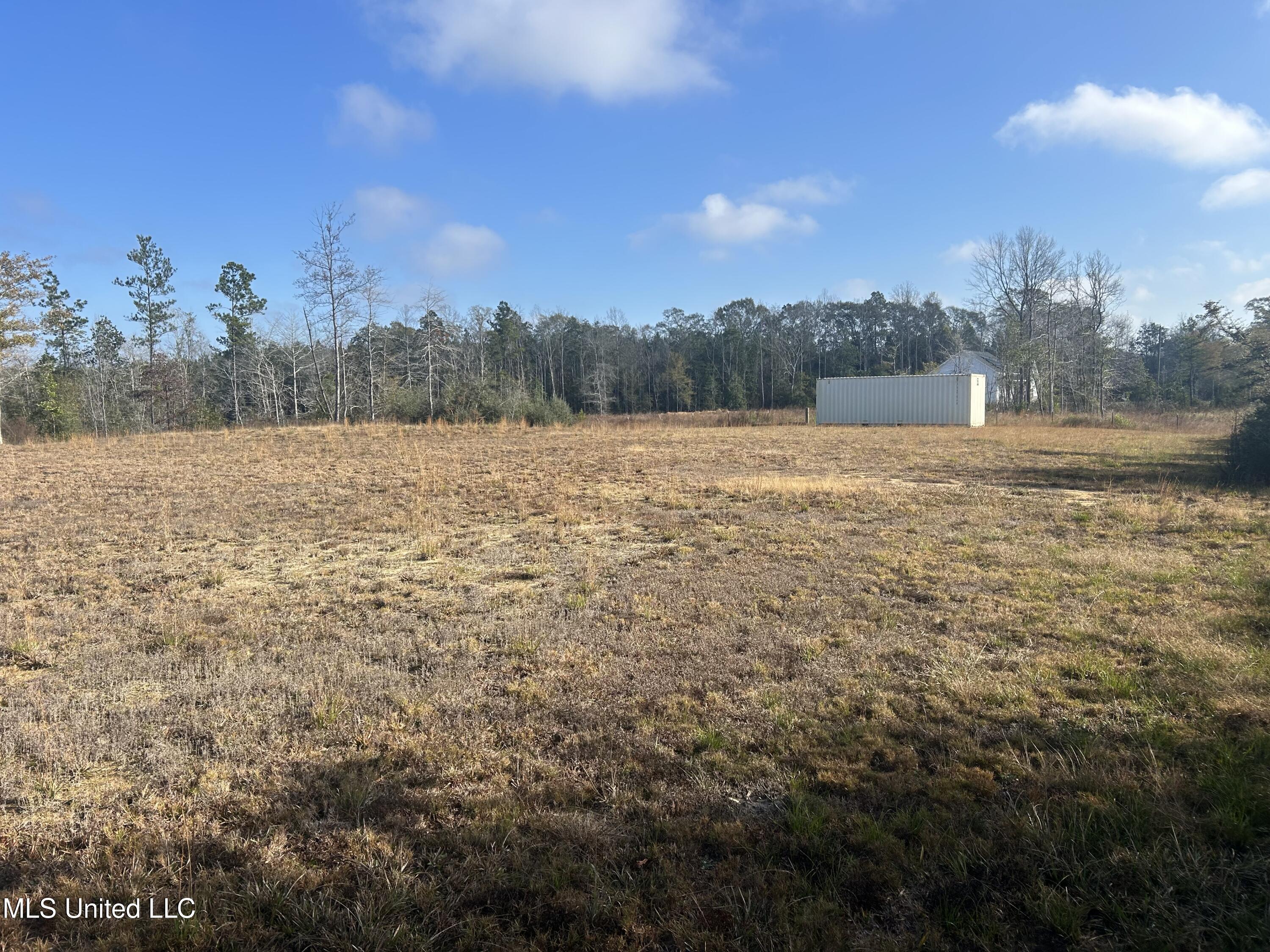 0 Will Lee Road Lumberton, MS 39455 - Photo 10 of 23 IMG_0842