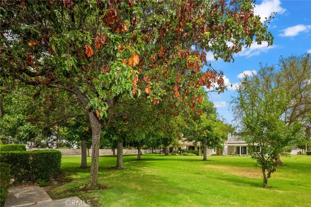 a garden view with a fountain
