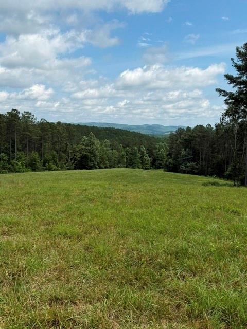 1100 Fuller Mountain Road Fairmount, GA 30139 - Photo 20 of 24 Gallery Image 20