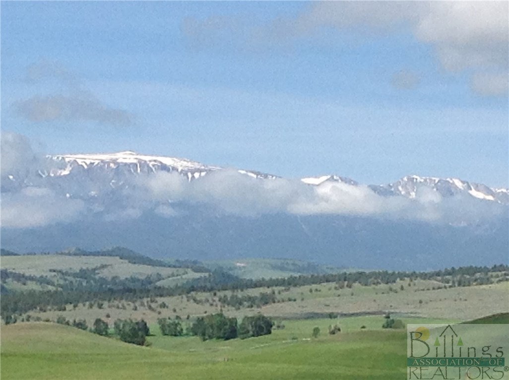 0 Hap Trees Road Fishtail, MT 59028 - Photo 1 of 1 Gallery Image 1