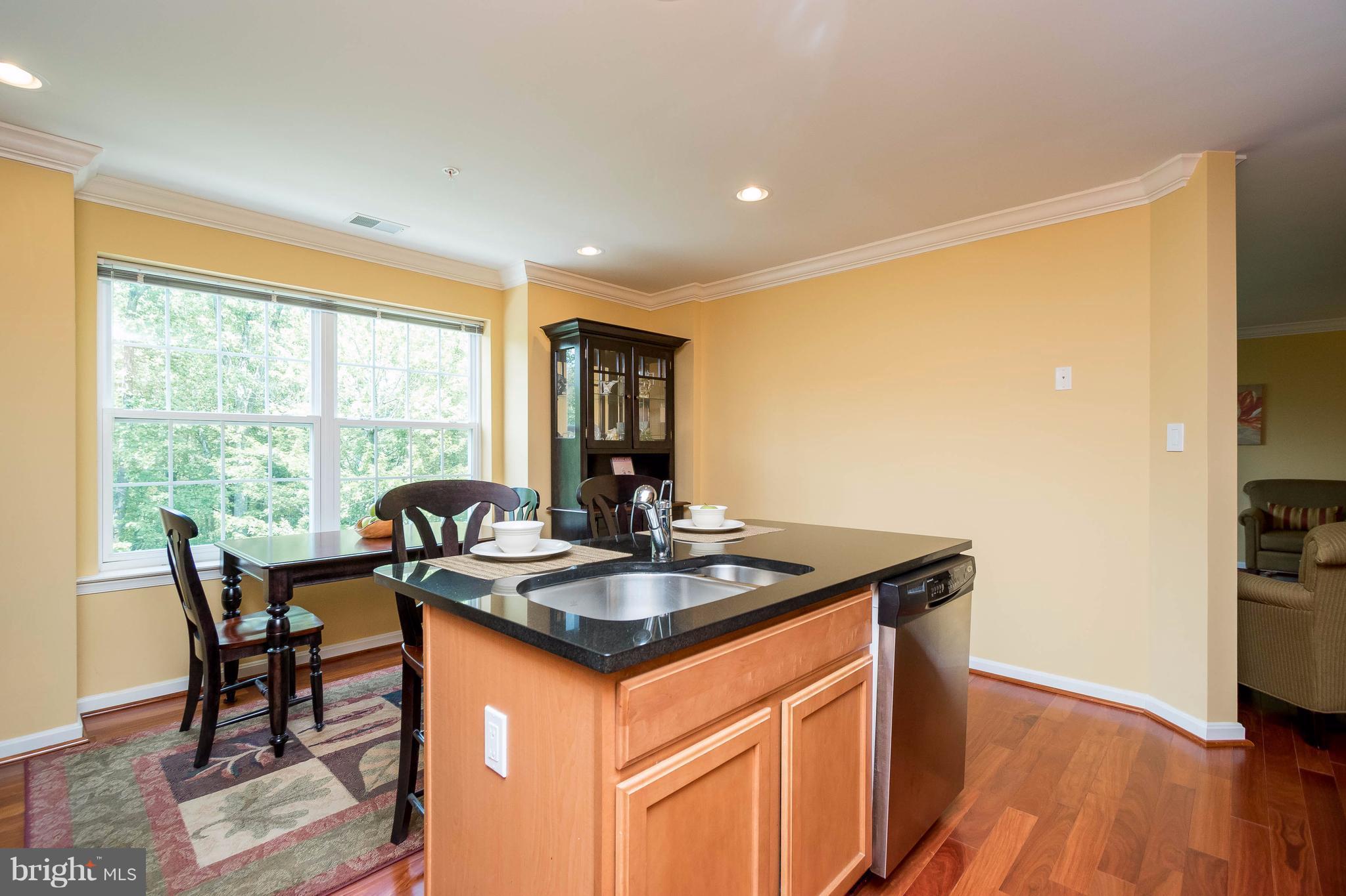9510 Coyle Road, Unit 304 Owings Mills, MD 21117 - Photo 9 of 30 Kitchen