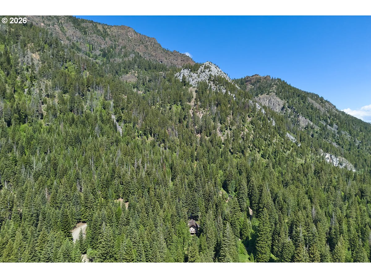 64368 Tamarack Road Lostine, OR 97857 - Photo 2 of 39 a view of a large mountain with tall trees