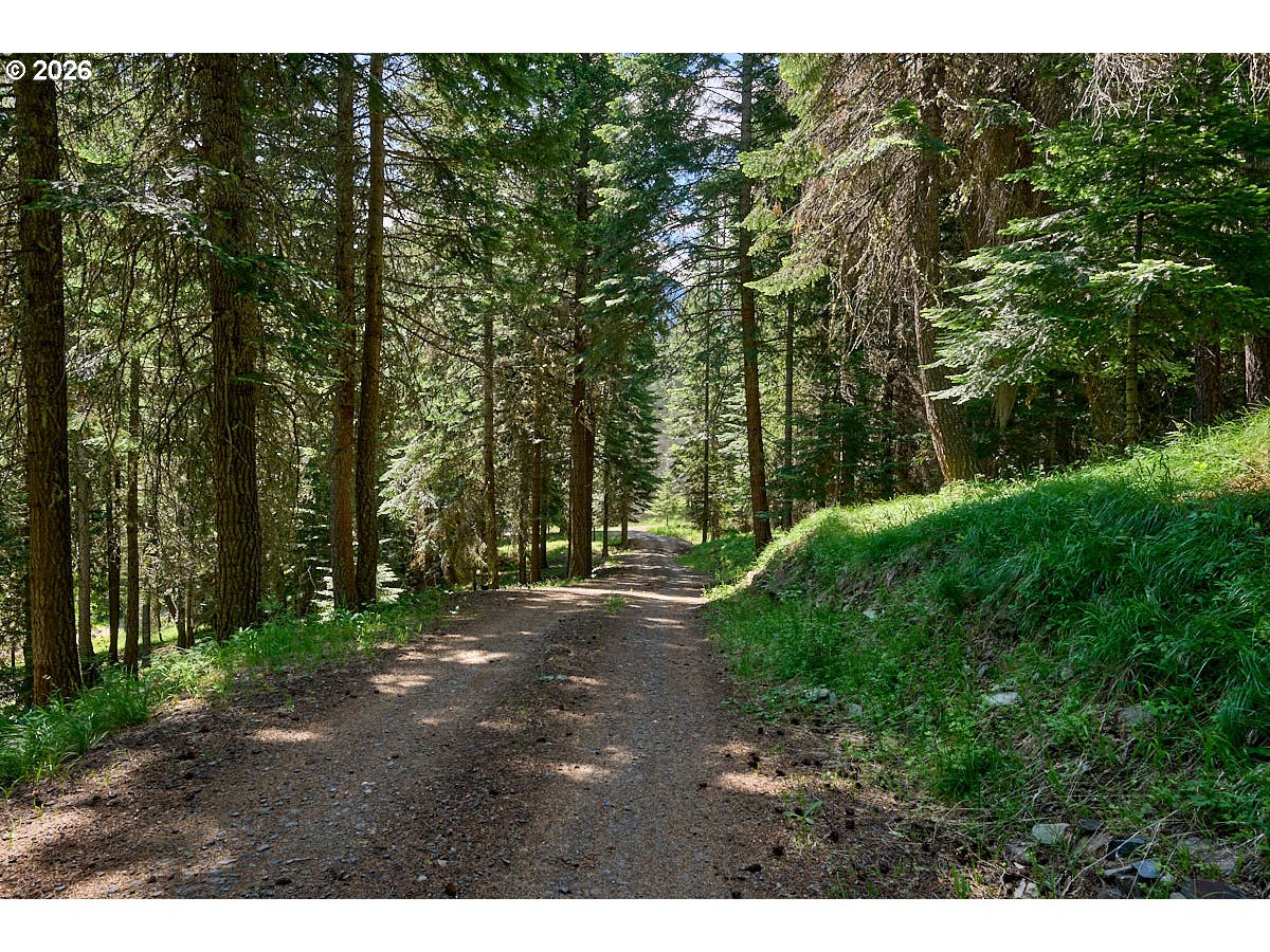 64368 Tamarack Road Lostine, OR 97857 - Photo 37 of 39 a view of a forest with trees in the background