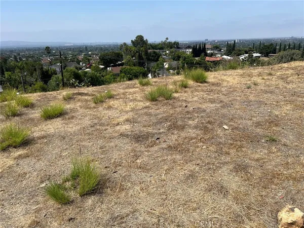 a street view with wooden fence