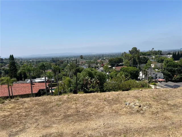 a view of a dry yard with trees