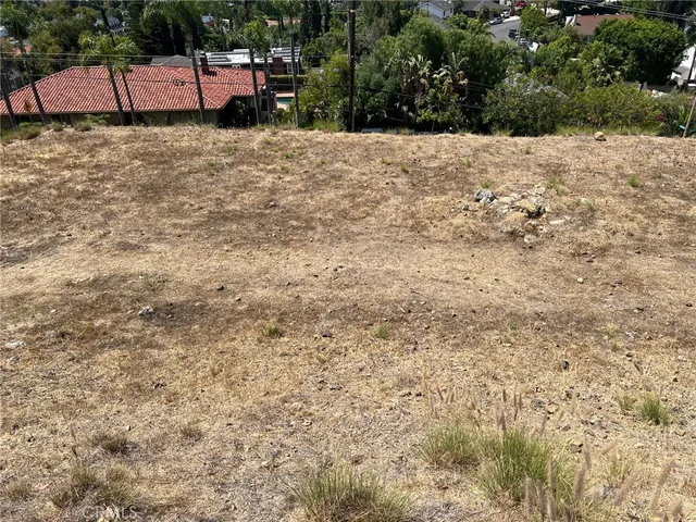 a view of a yard with trees