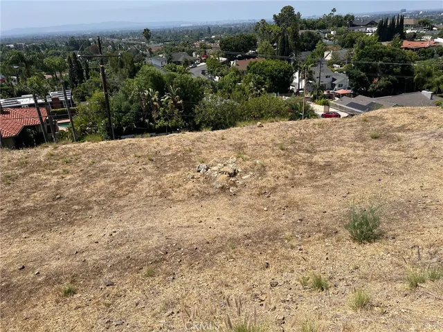 a view of a field with an ocean