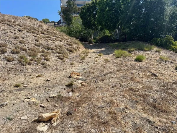 a view of a yard with trees