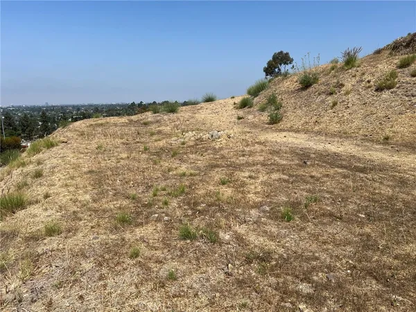 a view of a backyard of a house