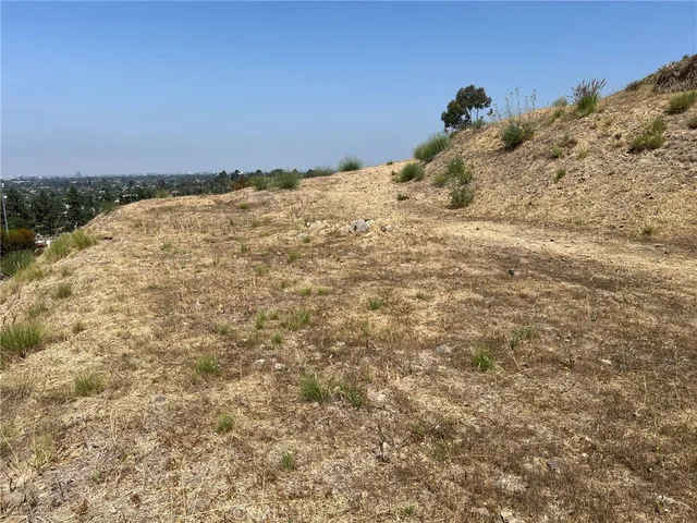 a view of a backyard of a house