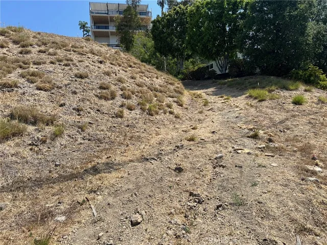 a view of a dry yard with trees in the background