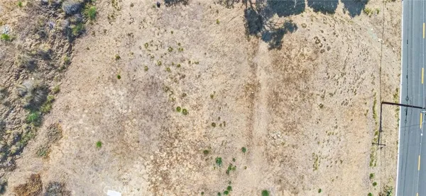 a view of a yard with plants and large trees