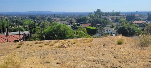 a view of a field with a tree