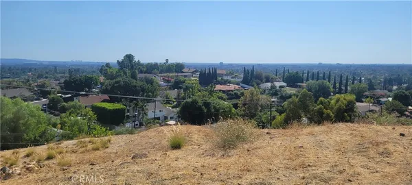 a living room with furniture potted plant and a fireplace