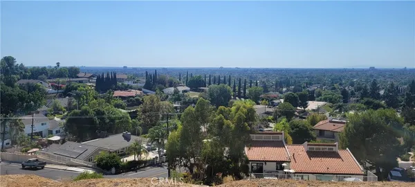 a view of a yard with plants
